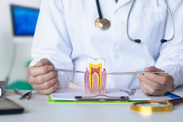 Best Emergency Dental Surgery in Lake Barcroft, VA